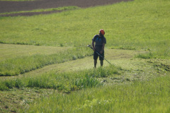 20260418-Arbeitseinsatz-04